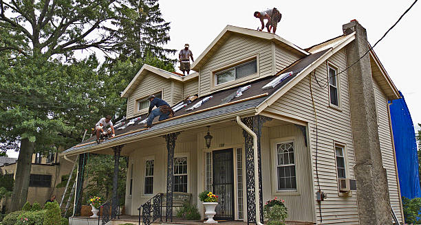 Best Gutter Installation and Roofing  in Burgin, KY